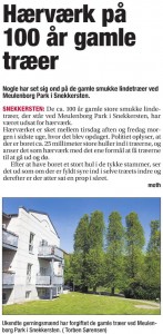 Helsingør Dagblad - Hærværk på træer